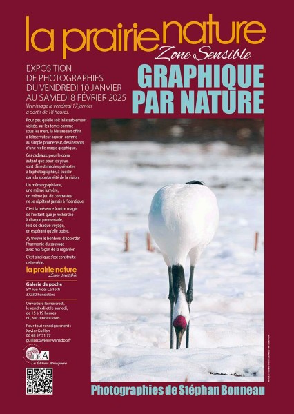 Image de GRAPHIQUE PAR NATURE